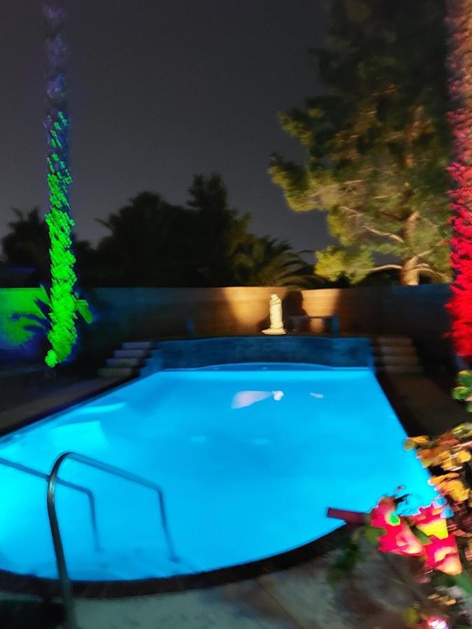 לאס וגאס Catmosphere מראה חיצוני תמונה